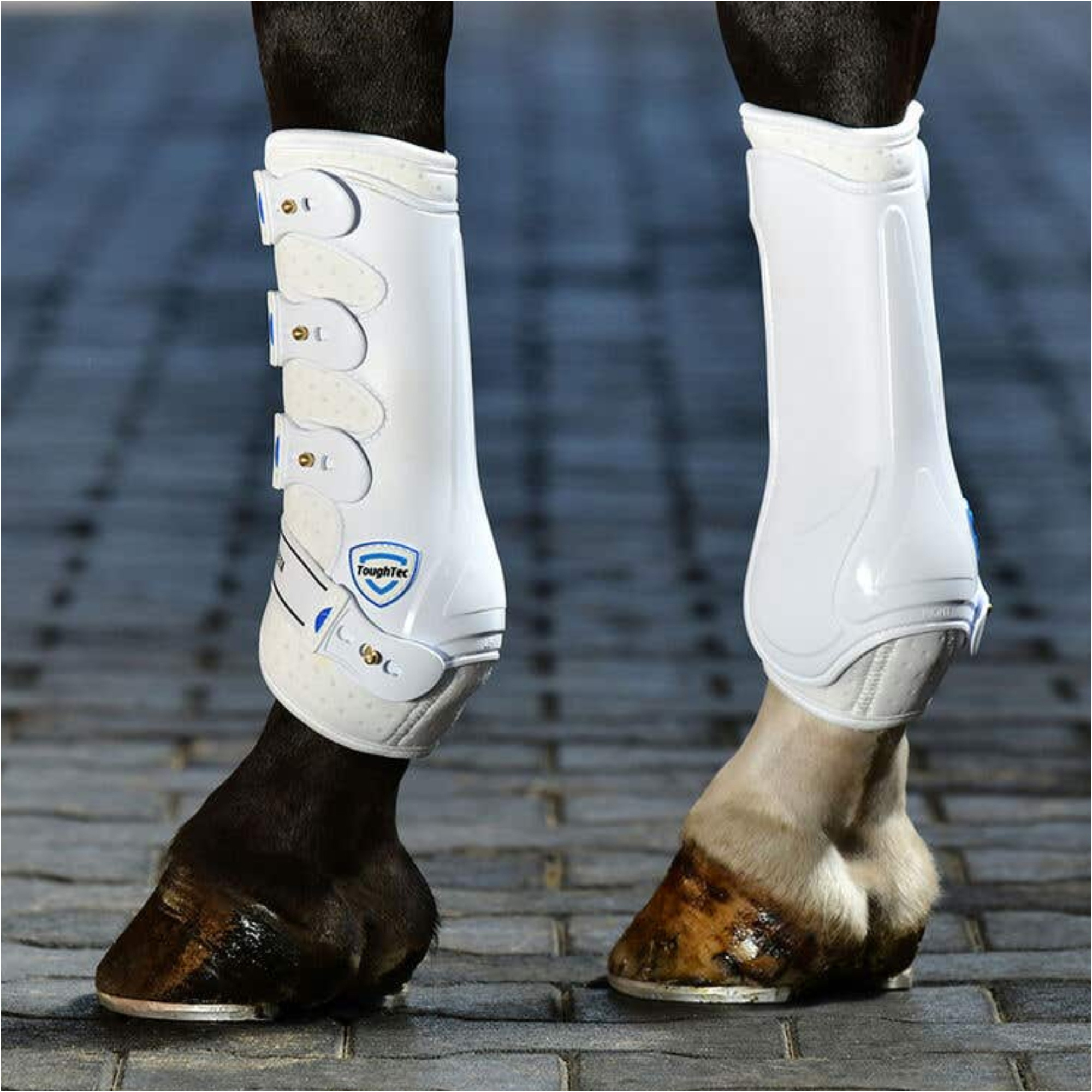 2025 WeatherBeeta Tough-Tec Coque Dure Guêtres De Dressage 1027516 - White